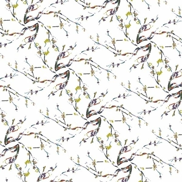 Branches